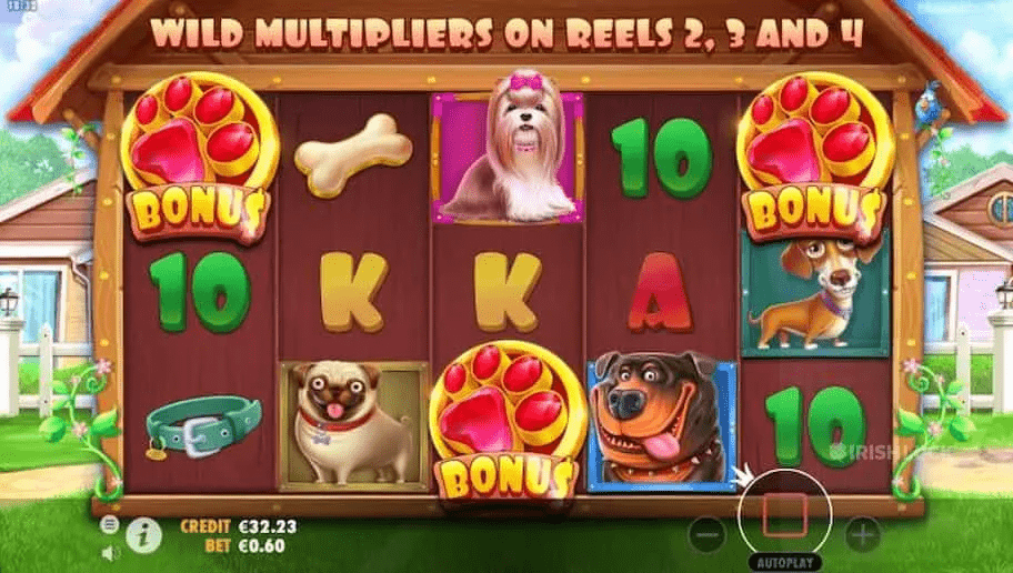 the-dog-house-slot-review-pragmatic-play